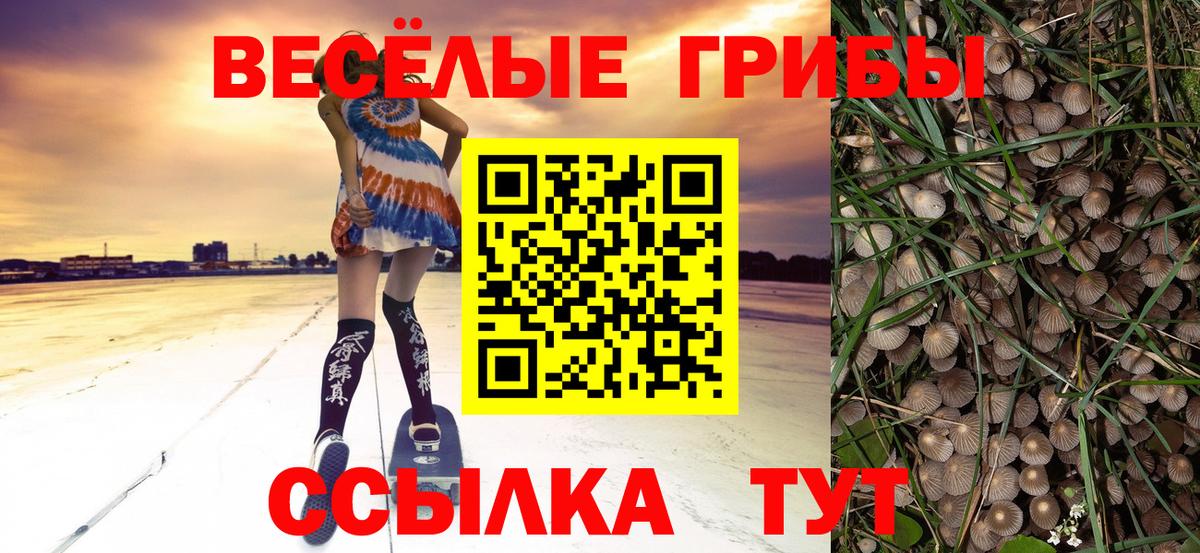 Губкин  Псилоцибиновые грибы мицелий  Вход с VPN 