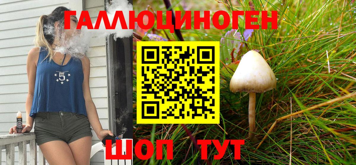 Галлюциногенные грибы GOLDEN TEACHER Губкин