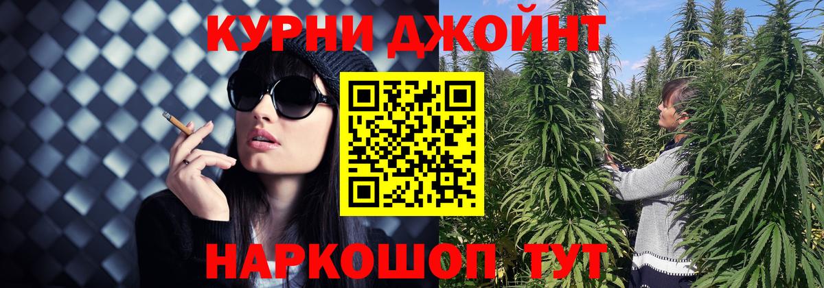 Каннабис план  Вход с VPN  Шишки марихуана конопля  Губкин 